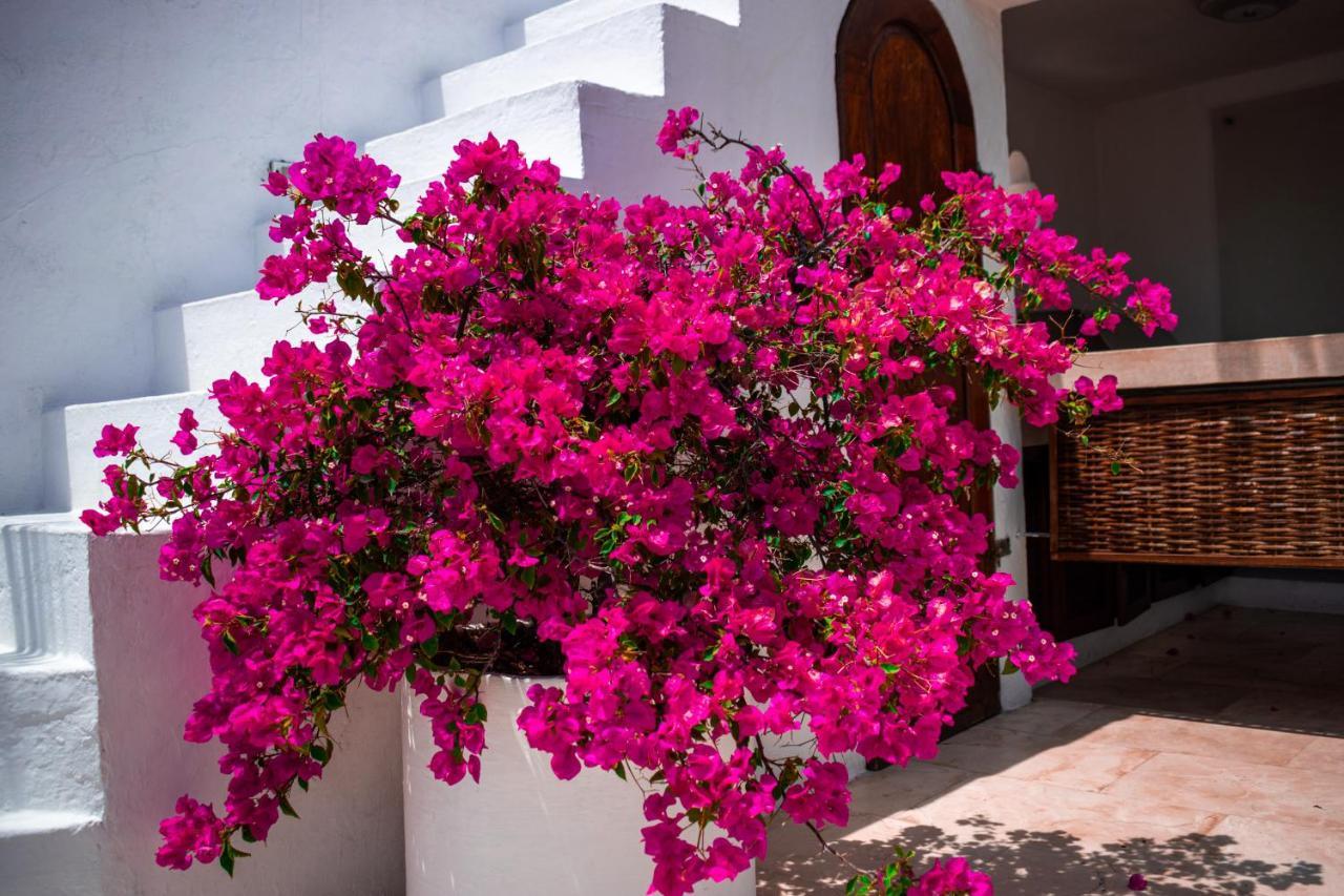 Hotel Aguamarina Boutique (Adults Only) Cartagena Dış mekan fotoğraf